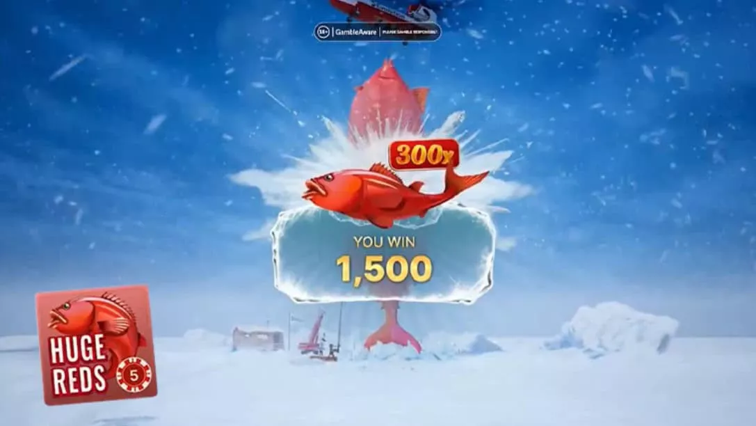 ice fishing live